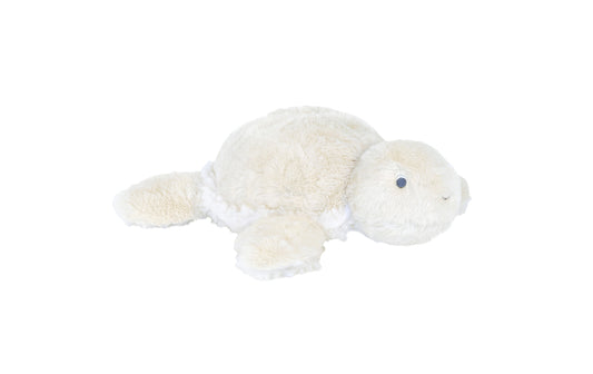 Turtle Terry #1 by Happy Horse