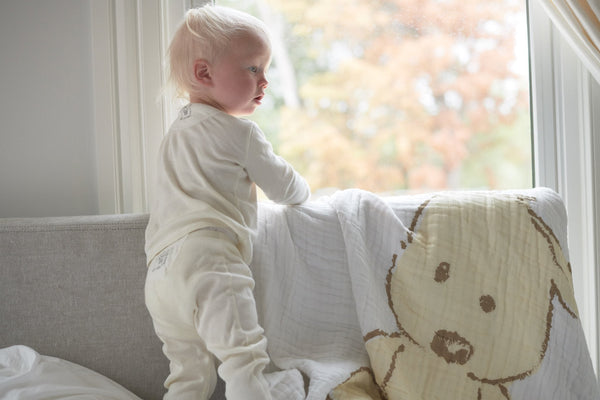 Teddy Bear and Plaid Cotton Muslin Newcastle Blanket